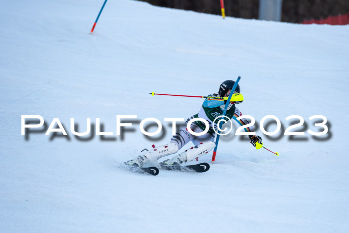 FIS Slalom + NJC Damen + FIS Herren 22.02.2020