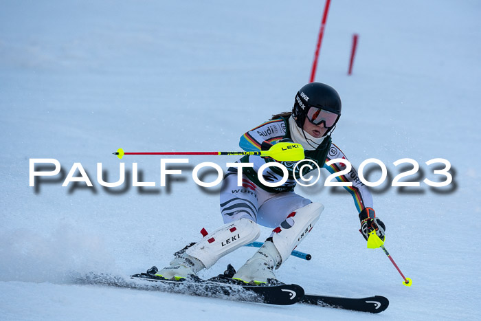 FIS Slalom + NJC Damen + FIS Herren 22.02.2020