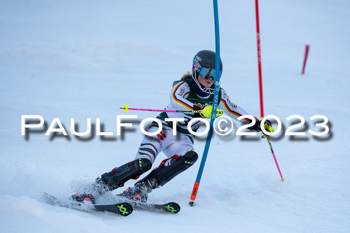 FIS Slalom + NJC Damen + FIS Herren 22.02.2020