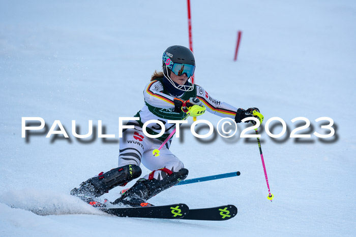 FIS Slalom + NJC Damen + FIS Herren 22.02.2020