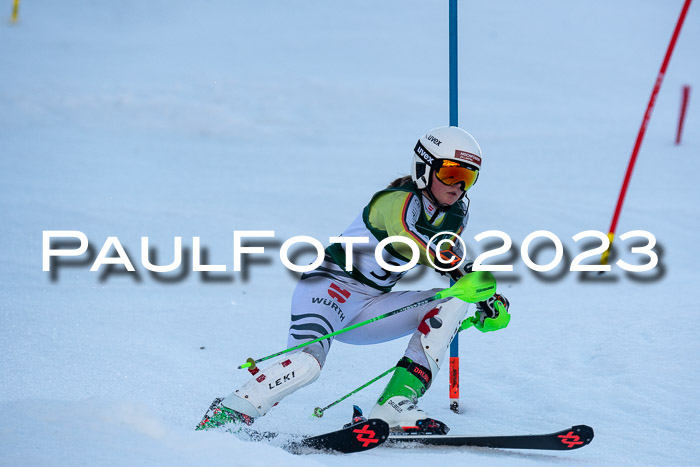 FIS Slalom + NJC Damen + FIS Herren 22.02.2020