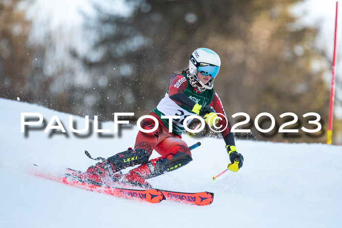 FIS Slalom + NJC Damen + FIS Herren 22.02.2020