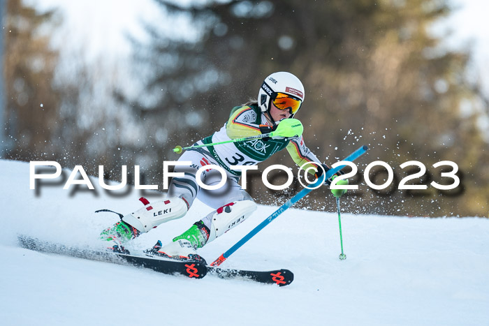 FIS Slalom + NJC Damen + FIS Herren 22.02.2020