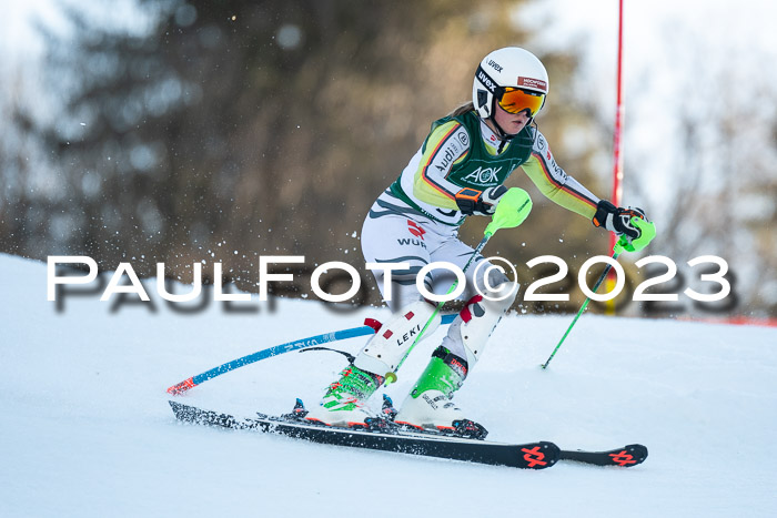 FIS Slalom + NJC Damen + FIS Herren 22.02.2020