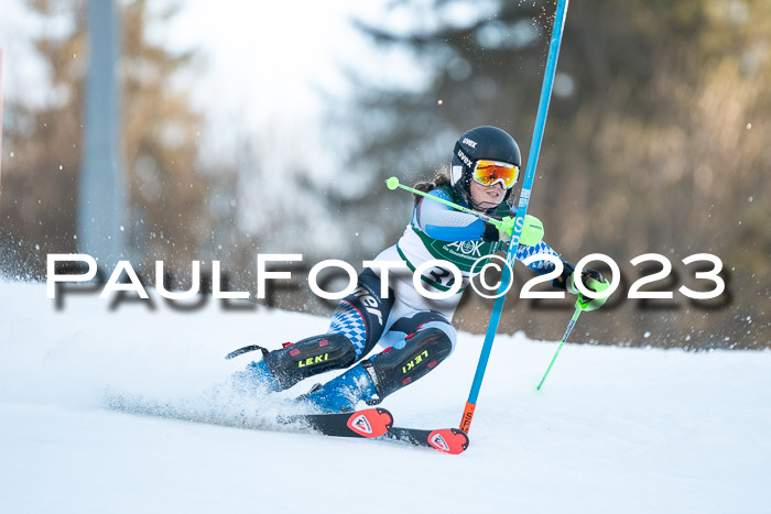 FIS Slalom + NJC Damen + FIS Herren 22.02.2020