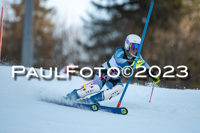 FIS Slalom + NJC Damen + FIS Herren 22.02.2020