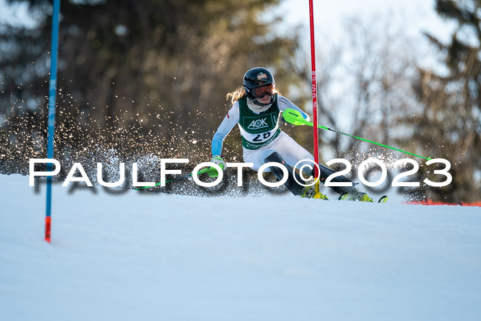 FIS Slalom + NJC Damen + FIS Herren 22.02.2020