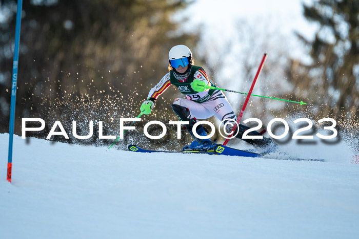 FIS Slalom + NJC Damen + FIS Herren 22.02.2020