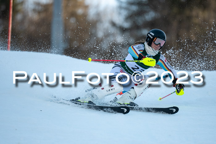 FIS Slalom + NJC Damen + FIS Herren 22.02.2020