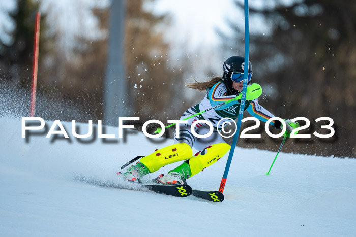 FIS Slalom + NJC Damen + FIS Herren 22.02.2020