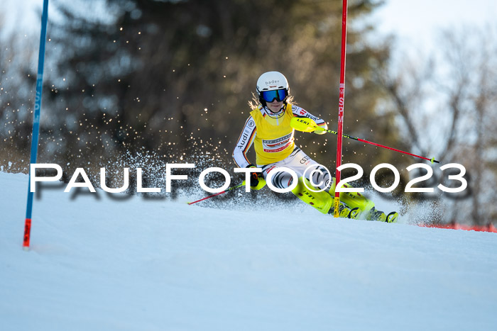 FIS Slalom + NJC Damen + FIS Herren 22.02.2020