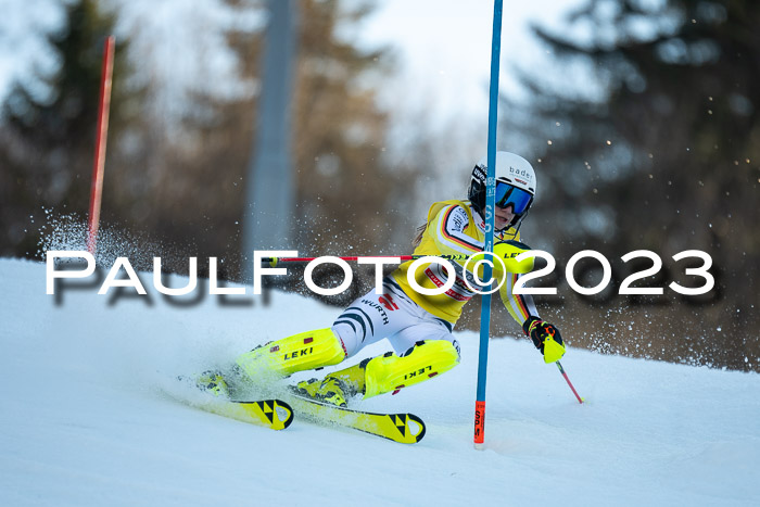 FIS Slalom + NJC Damen + FIS Herren 22.02.2020