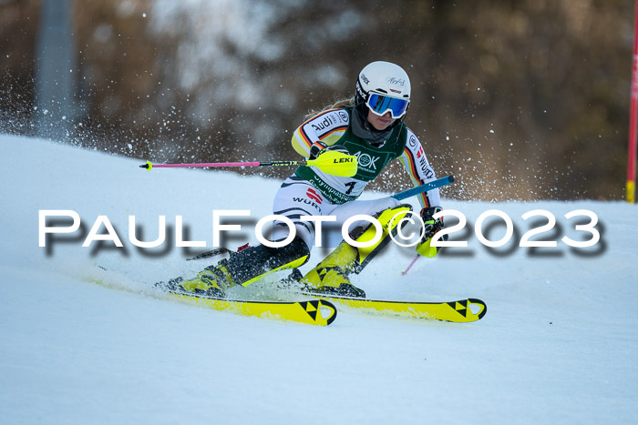 FIS Slalom + NJC Damen + FIS Herren 22.02.2020