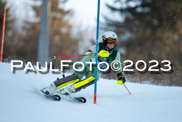 FIS Slalom + NJC Damen + FIS Herren 22.02.2020