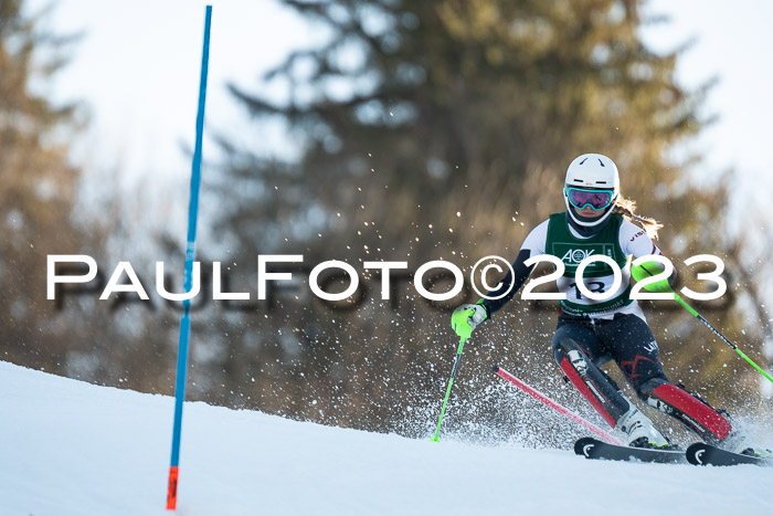 FIS Slalom + NJC Damen + FIS Herren 22.02.2020