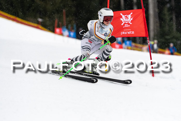 Münchner Meisterschaft Kitzbühel, 04-02-2023 Aktive, Jugend, Finalläufe + Siegerehrung