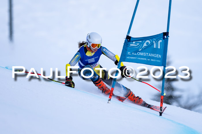 FIS Riesenslalom, Damen, Bayerische  + Jugendmeistersachaft 09.02.2023