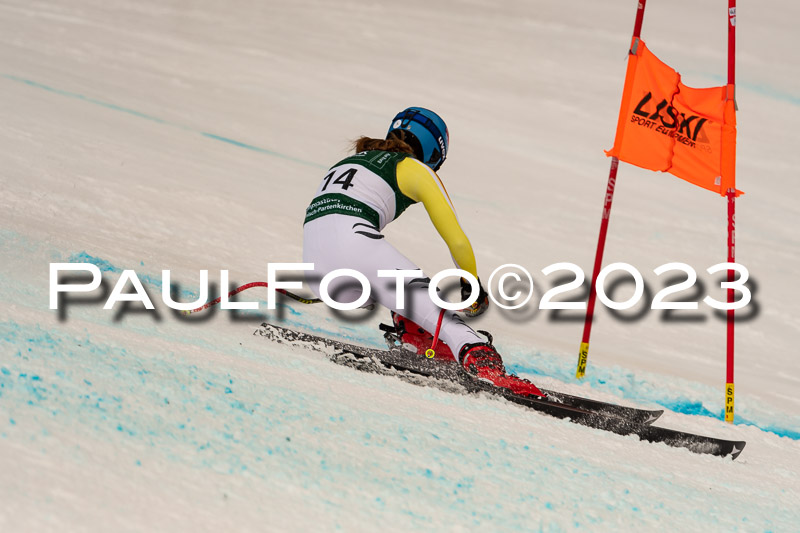 NJC + FIS, Super-G, Damen , 17.02.2023