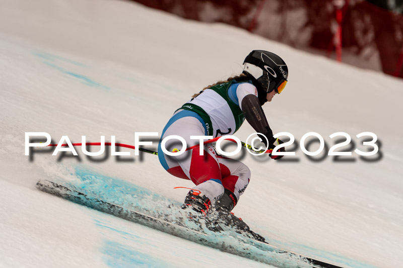 NJC + FIS, Super-G, Damen , 17.02.2023