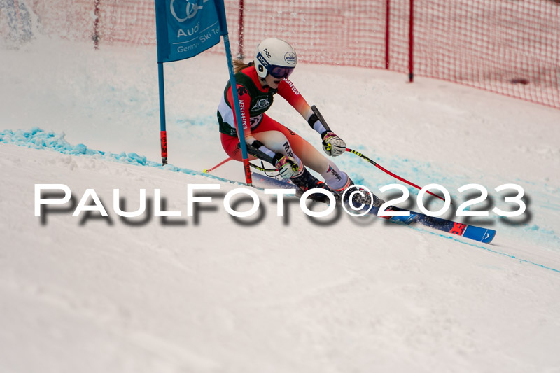 NJC + FIS, Super-G, Damen , 17.02.2023