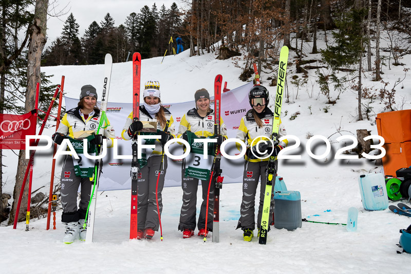 NJC + FIS, Super-G, Damen , 17.02.2023