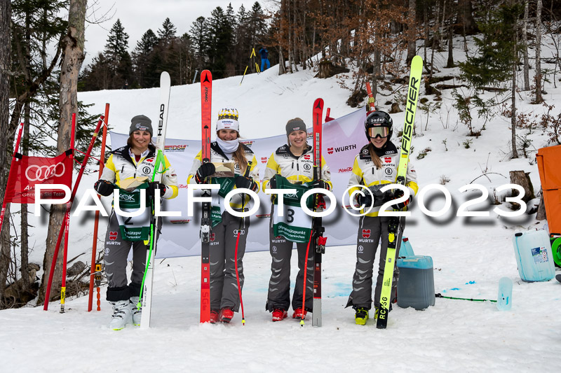 NJC + FIS, Super-G, Damen , 17.02.2023