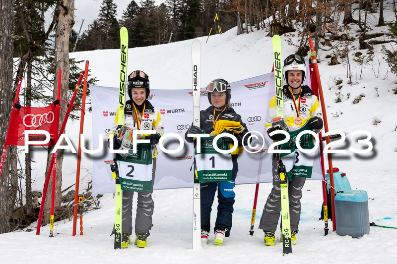 NJC + FIS, Super-G, Damen , 17.02.2023