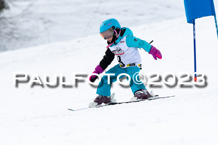 DSV Skitty Cup Alpin, 26.02.2026