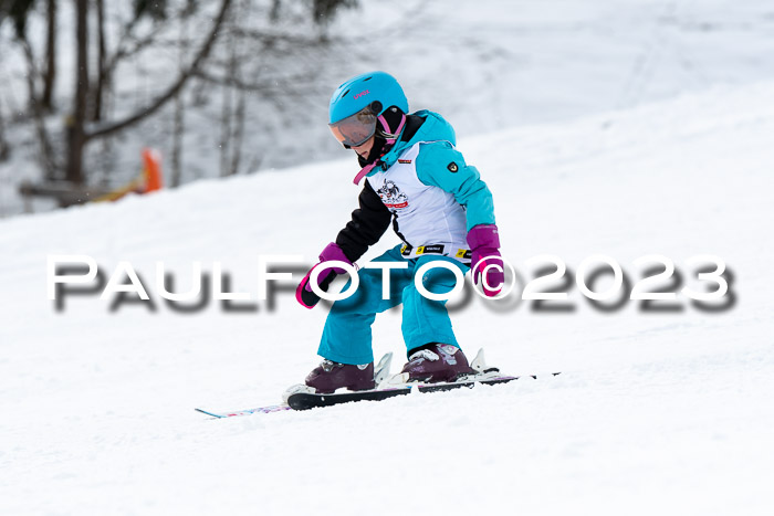 DSV Skitty Cup Alpin, 26.02.2026