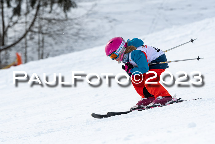 DSV Skitty Cup Alpin, 26.02.2026