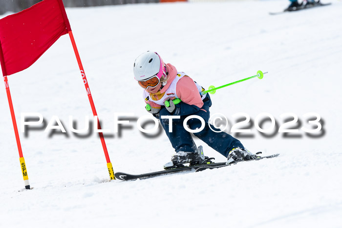 DSV Skitty Cup Alpin, 26.02.2026