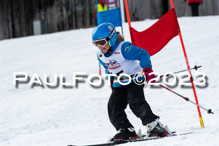 DSV Skitty Cup Alpin, 26.02.2026