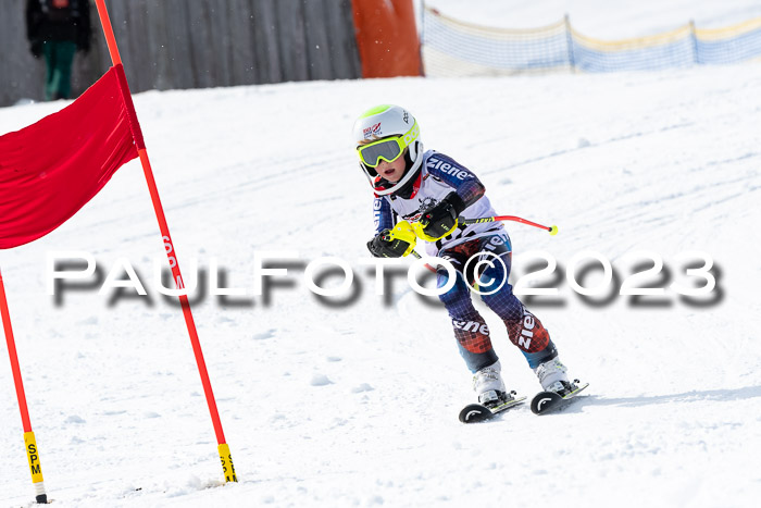 DSV Skitty Cup Alpin, 26.02.2026