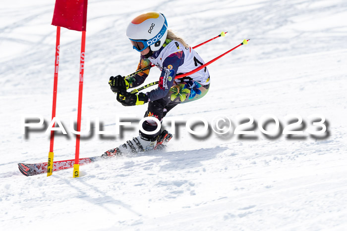 DSV Skitty Cup Alpin, 26.02.2026