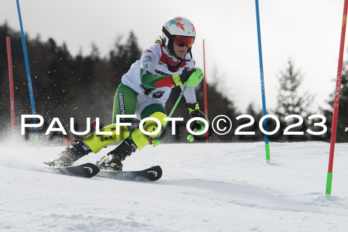 DSV - ELK Schülercup Finale U14 SL, 11.03.2023