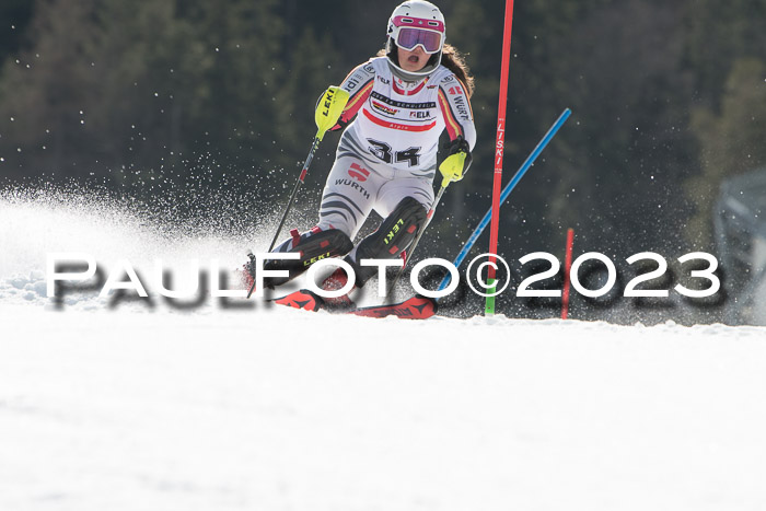 DSV - ELK Schülercup Finale U14 SL, 11.03.2023