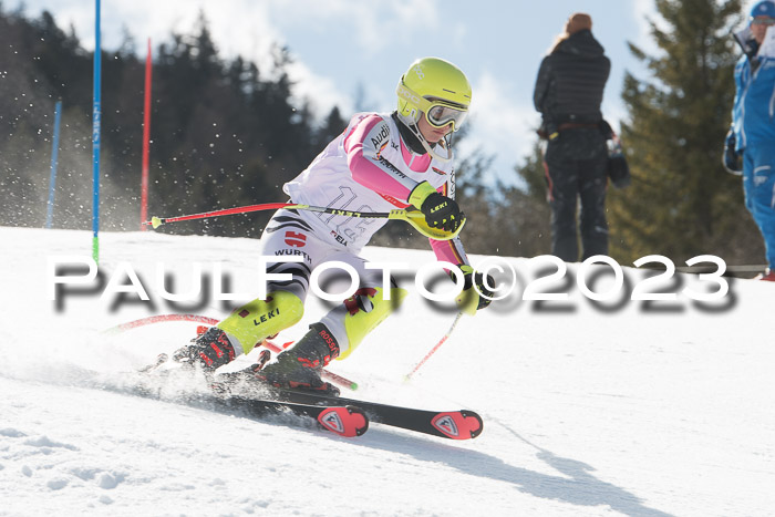 DSV - ELK Schülercup Finale U14 SL, 11.03.2023