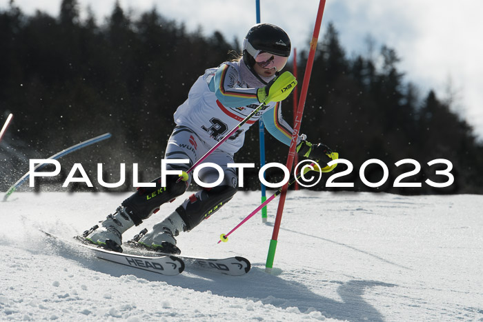 DSV - ELK Schülercup Finale U14 SL, 11.03.2023