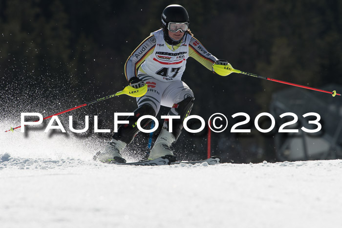 DSV - ELK Schülercup Finale U14 SL, 11.03.2023