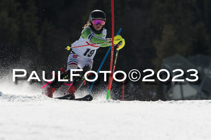 DSV - ELK Schülercup Finale U14 SL, 11.03.2023