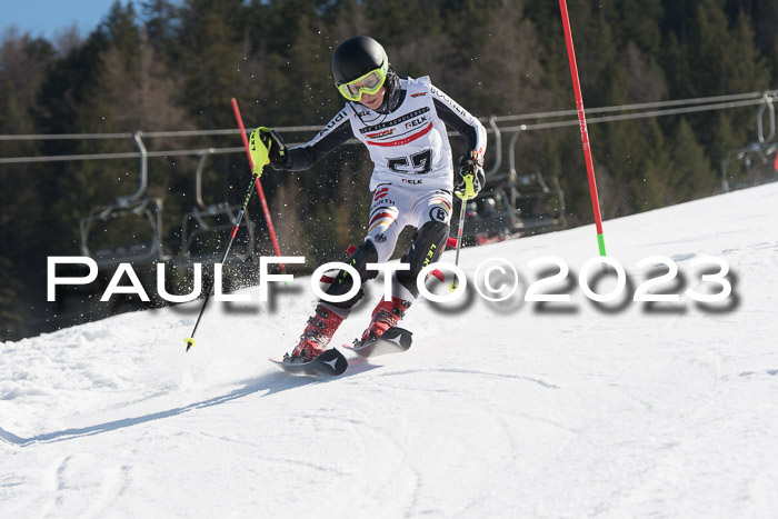 DSV - ELK Schülercup Finale U14 SL, 11.03.2023