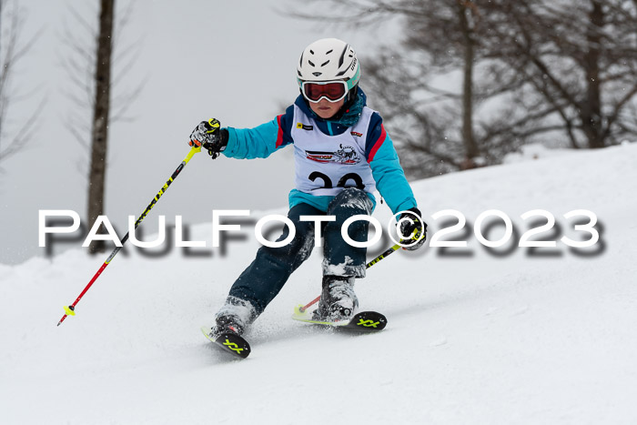 DSV Skitty Cup Alpin, 11.03.2023 Sudelfeld