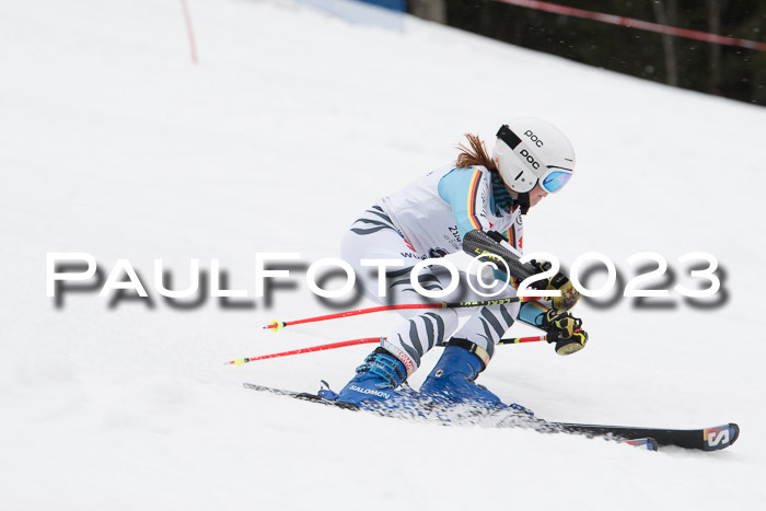 Parallel Slalom Trögllift 2023