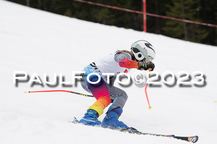 Parallel Slalom Trögllift 2023