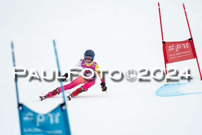 1. SVM Cup Willi-Wein-Gedächtnisrennen, RS, 05.01.2023