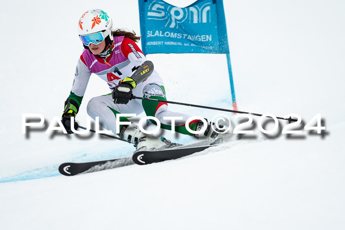 1. SVM Cup Willi-Wein-Gedächtnisrennen, RS, 05.01.2023