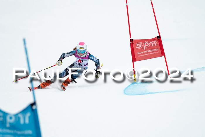 1. SVM Cup Willi-Wein-Gedächtnisrennen, RS, 05.01.2023