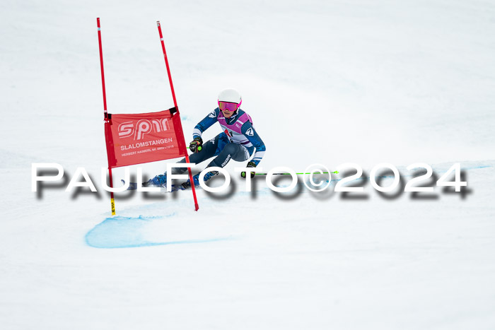 1. SVM Cup Willi-Wein-Gedächtnisrennen, RS, 05.01.2023