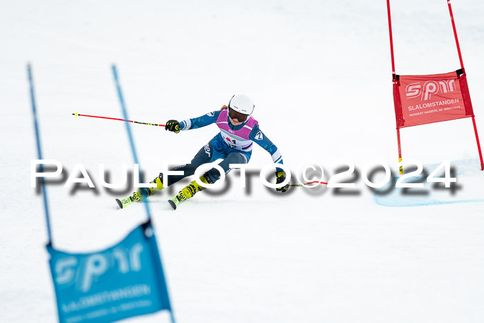 1. SVM Cup Willi-Wein-Gedächtnisrennen, RS, 05.01.2023