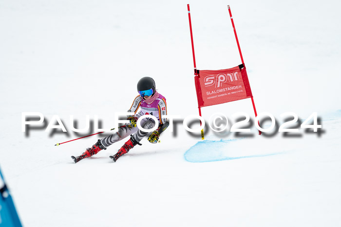 1. SVM Cup Willi-Wein-Gedächtnisrennen, RS, 05.01.2023